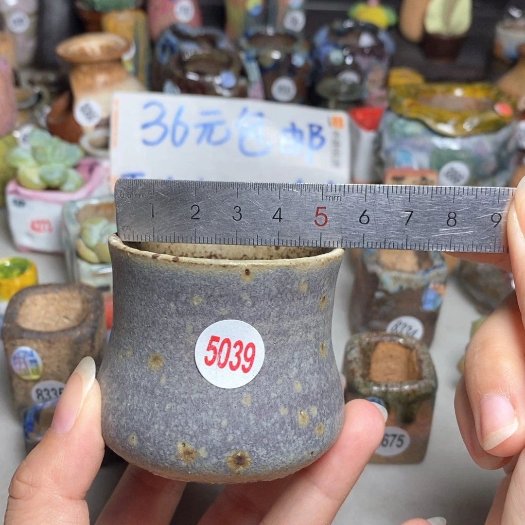 拍5送一个小礼物