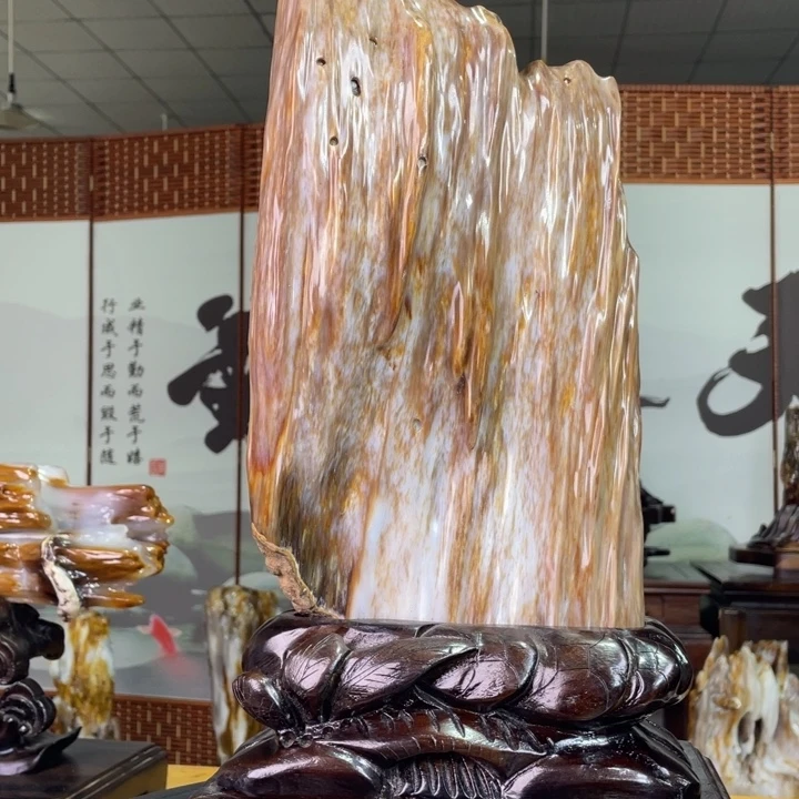 硅化玉未镶嵌珠宝奇石高48