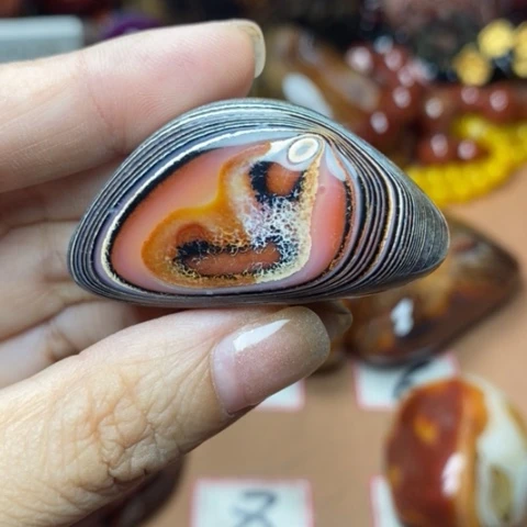 未镶嵌颈饰玛瑙/玉髓舍**予