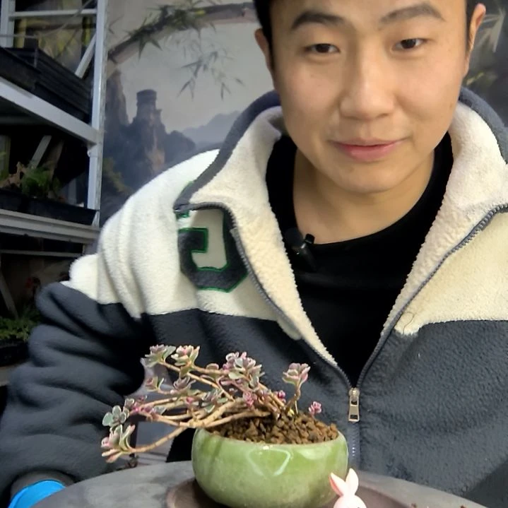 嘟***爸中青园艺一物一拍花485