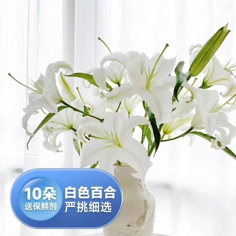 西伯利亚香水百合云南鲜花基地直发包邮水养室内浪漫插花