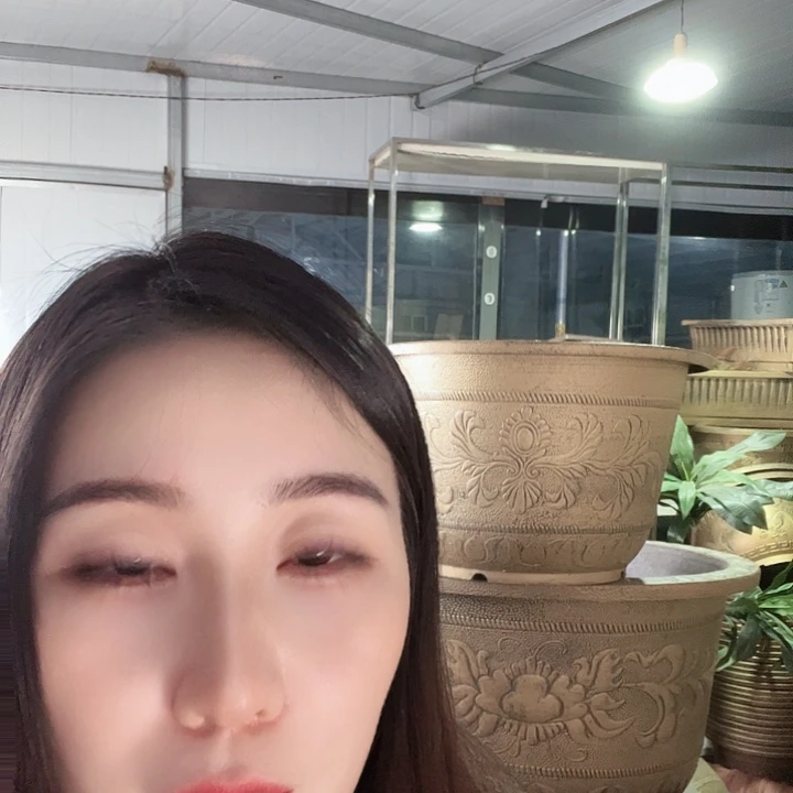 圆40口径花盆两个