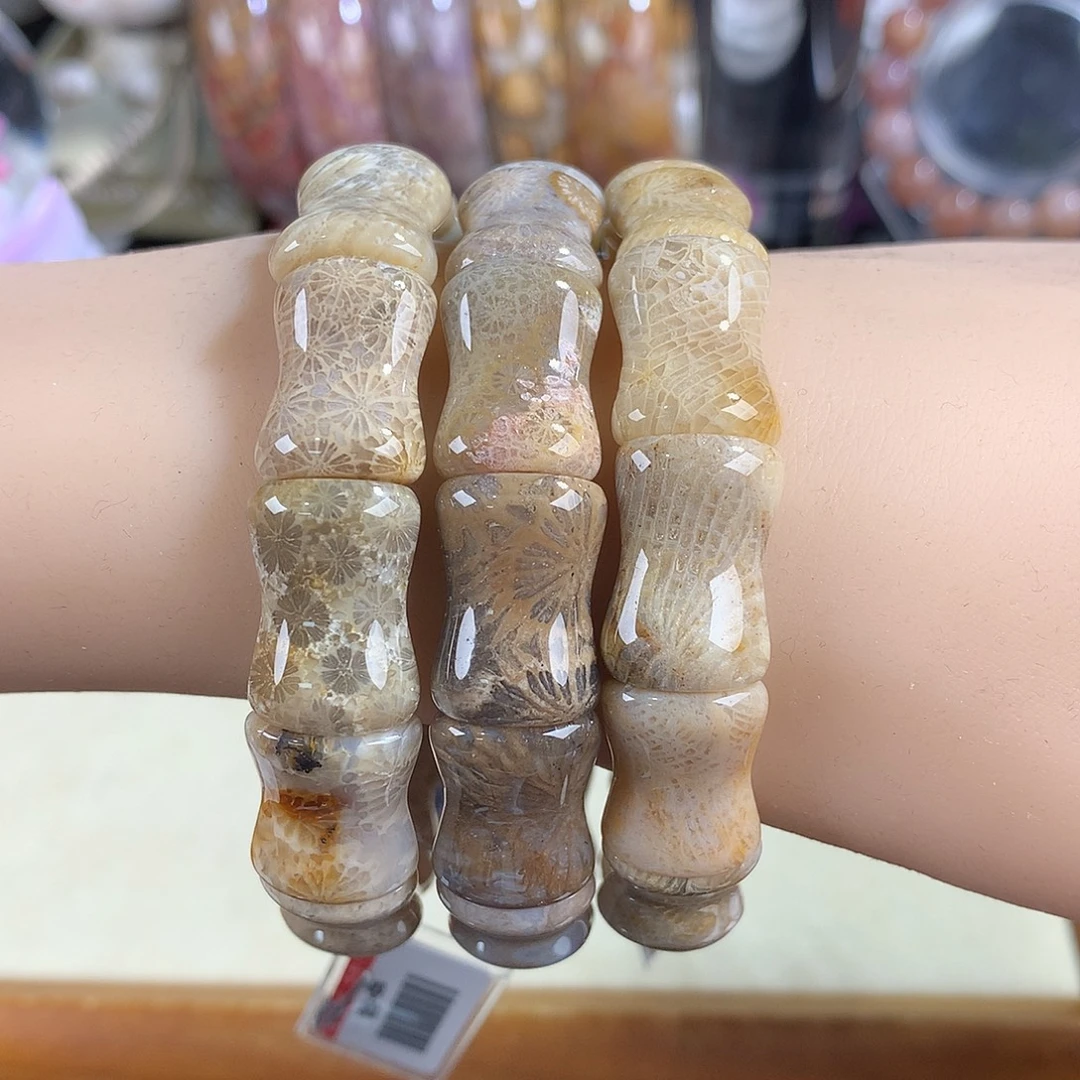 吊坠(赠链)未镶嵌硅化珊瑚（珊瑚玉）33号68漏48