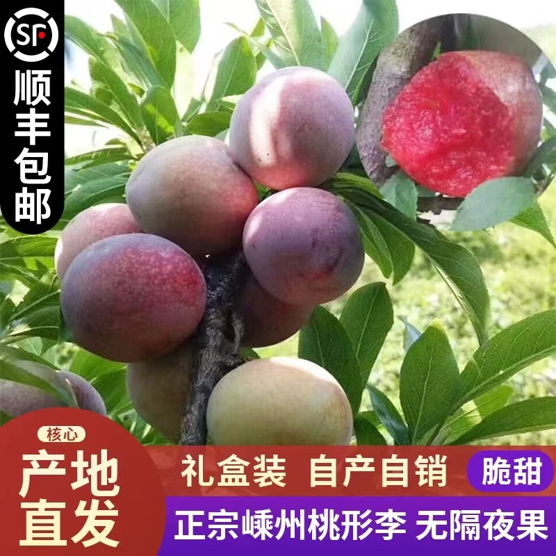 正宗嵊州金庭桃形李新鲜现摘现发脆甜可口当季水果礼盒装顺丰包邮