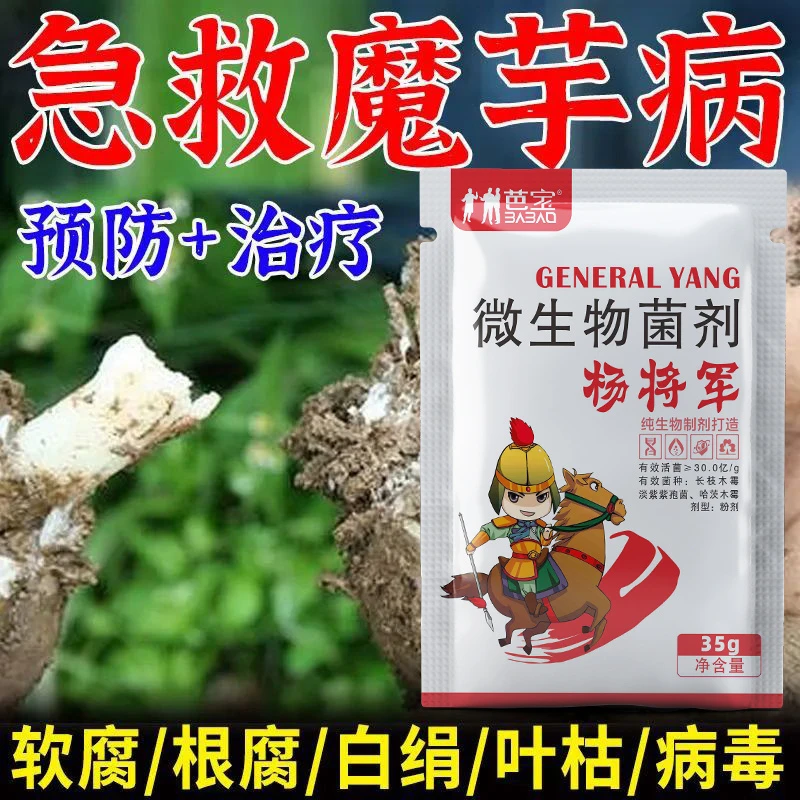 魔芋病全治魔芋菌剂防枯萎病白绢病软腐病根腐病炭疽病微生物菌肥