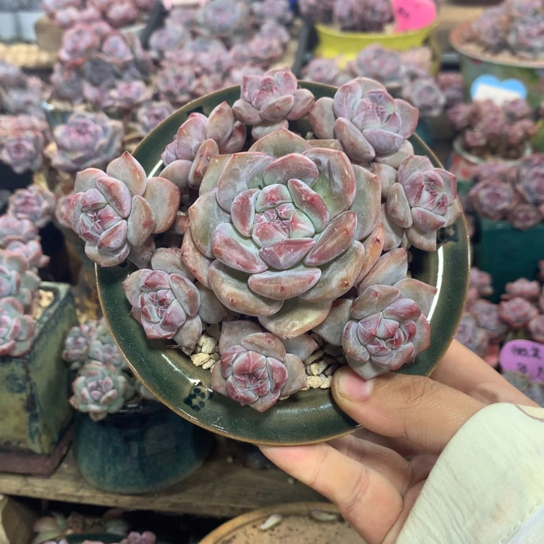 哈哈哈哈哈哈哈哈哈哈哈哈