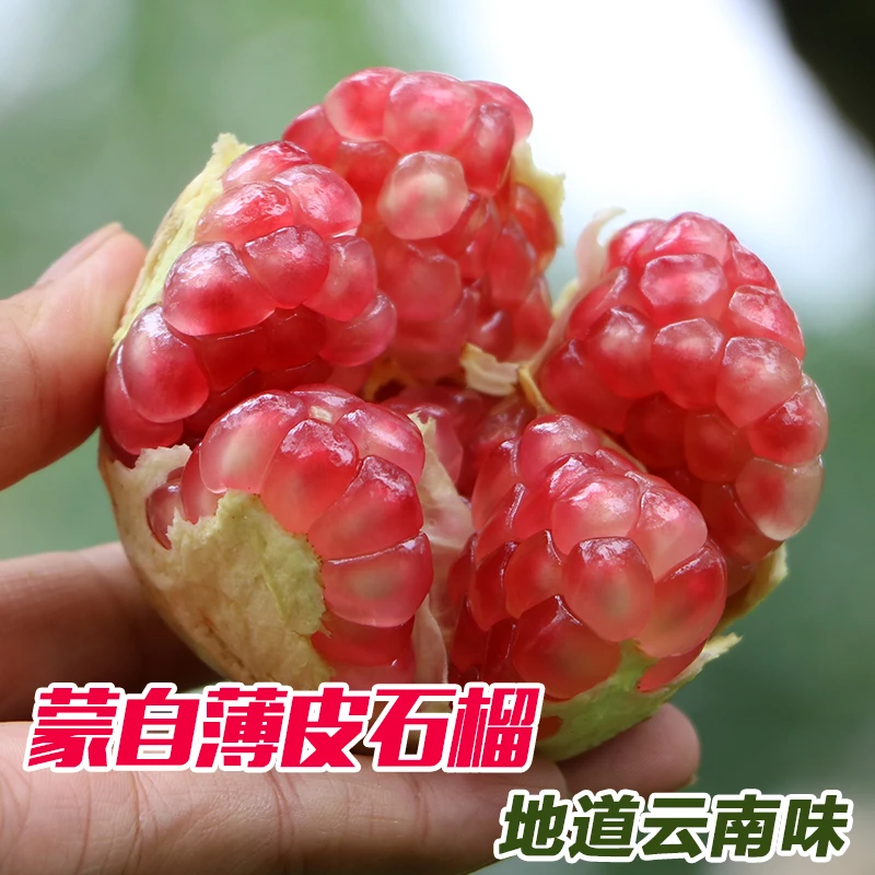 云南蒙自石榴老品质绿籽薄皮石榴水晶6个12个礼盒装中秋送礼顺丰