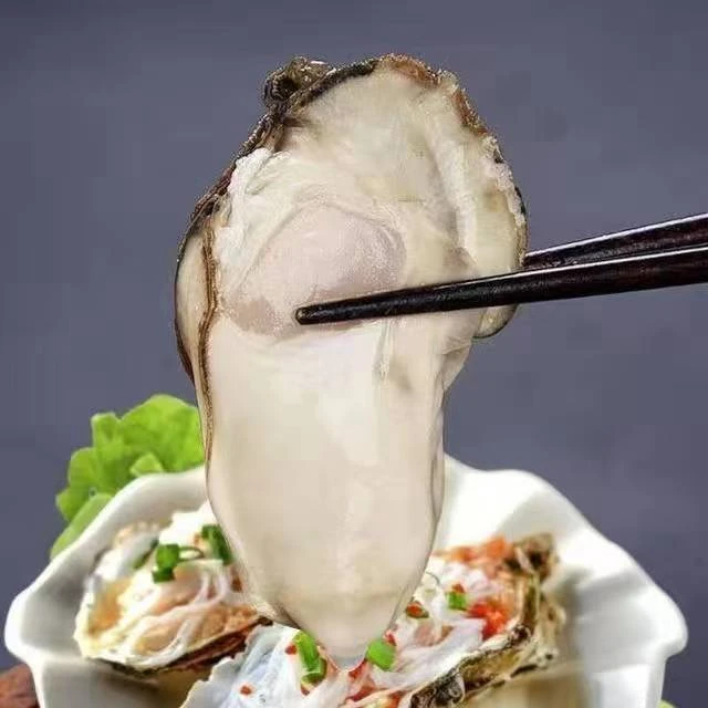 莲慧水产小时达精品乳山生蚝4标1KG