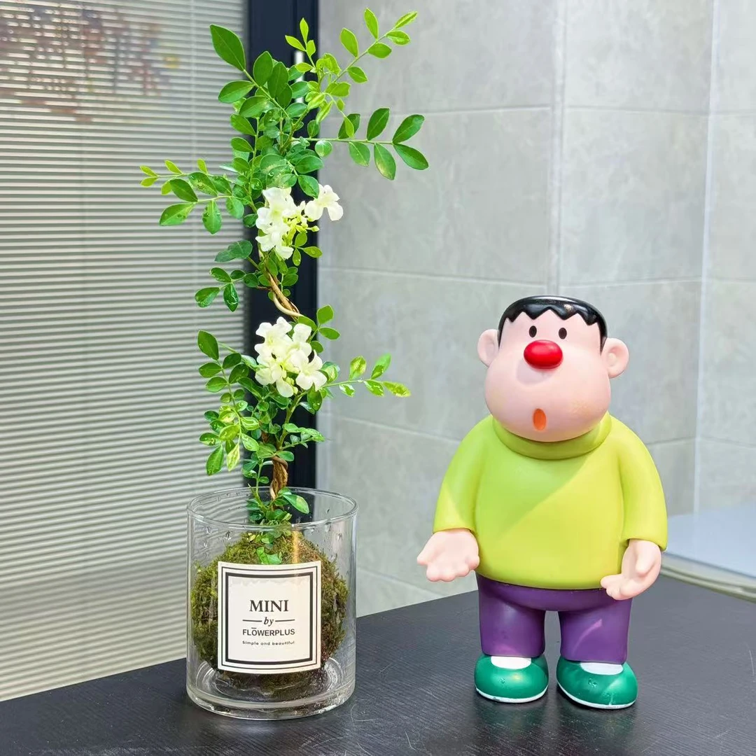 水培九里香室内桌面好养办公桌绿植开花植物带花瓶