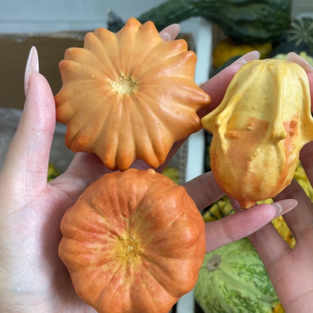 无事小神仙哈哈哈哈哈