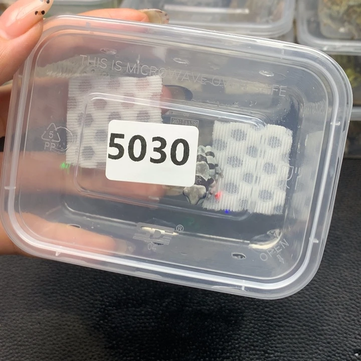 和***风角蛙5030牛奶树蛙