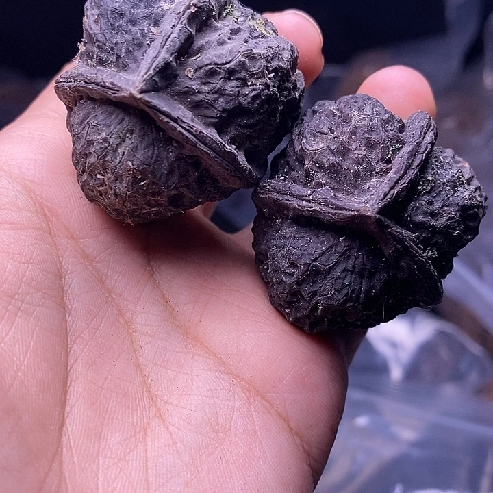 把件文玩核桃   339