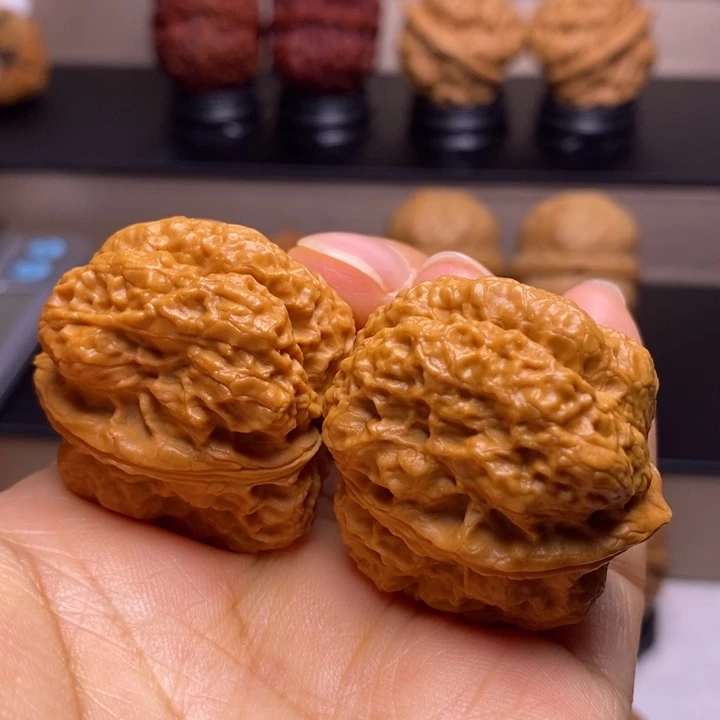 文玩核桃把件霸王龙脊15