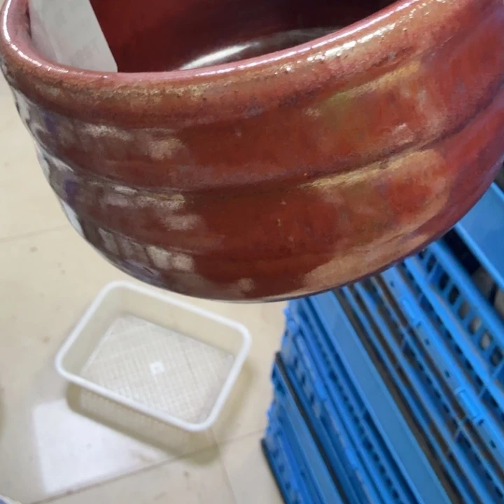 瓷片俺****?开播啦…开播啦！