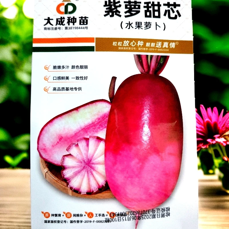 紫萝甜芯冰淇淋萝卜籽100粒左右