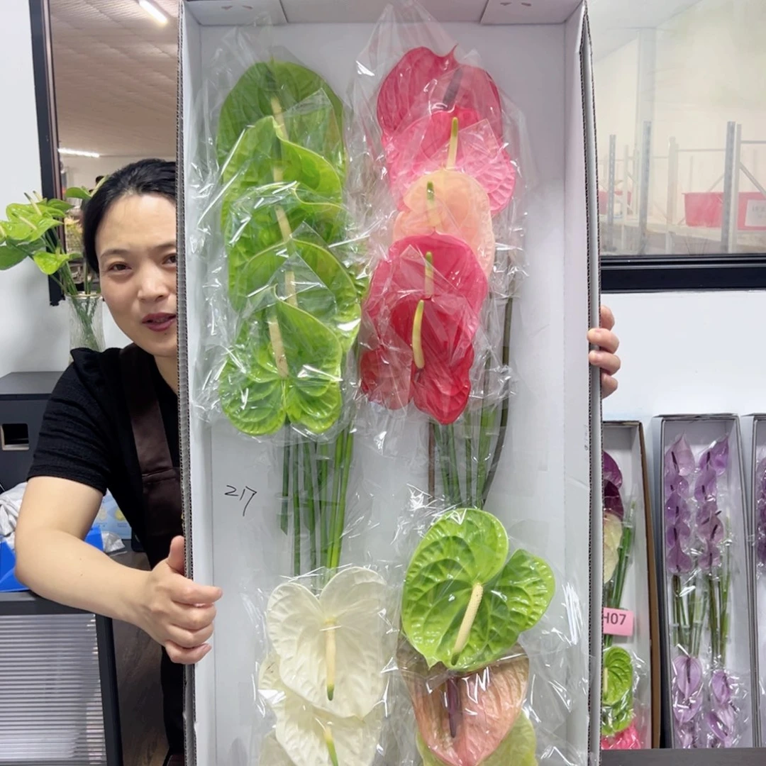 完全开放彩色18枝有瑕疵无售后 217