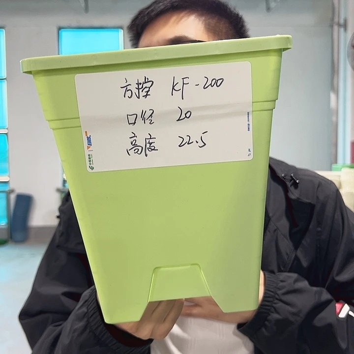 特价方盆口20高22果绿无托5只