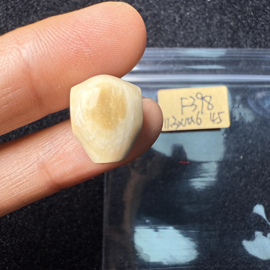 F398猛犸象牙对孔11.3*10.6mm鲨鱼背三通果冻料