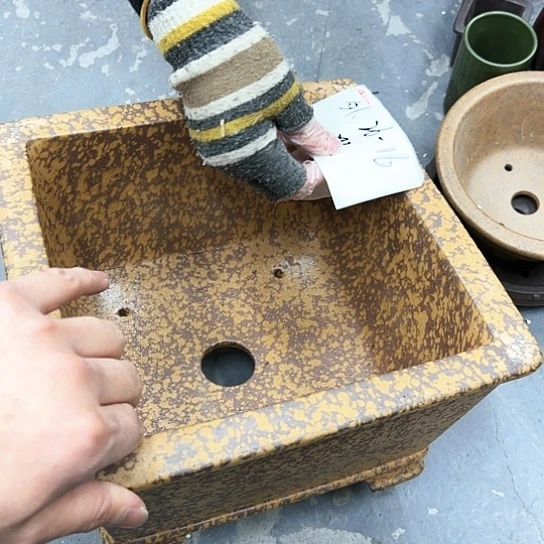 红陶紫砂花盆漂亮