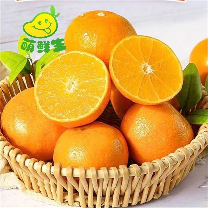 【鲜甜多汁】爱媛果冻橙约2斤