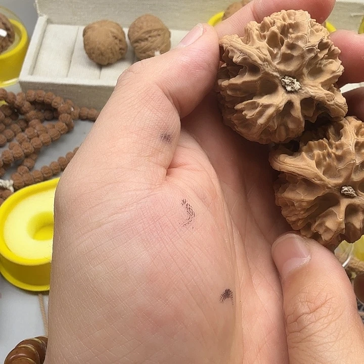 金刚菩提吊坠苹果园