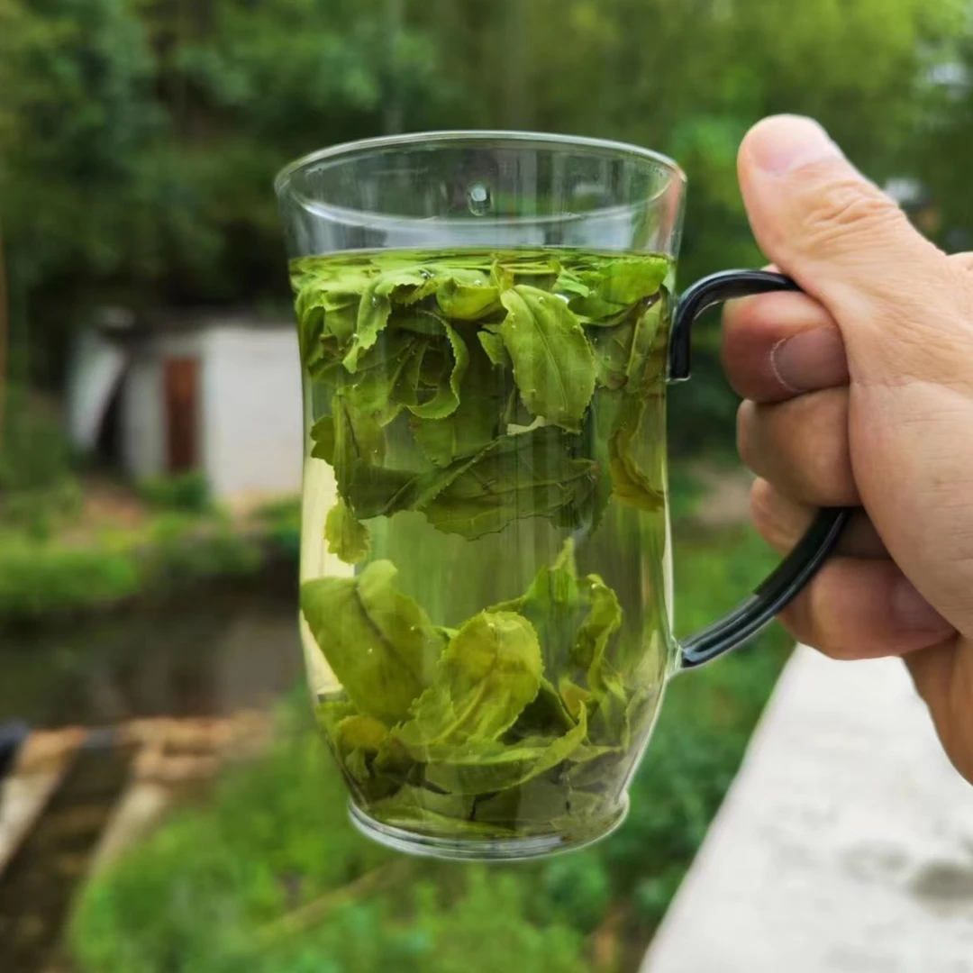 【2025年新茶】六安特产瓜片纯手工揉捏老树茶香浓耐泡（59手工）