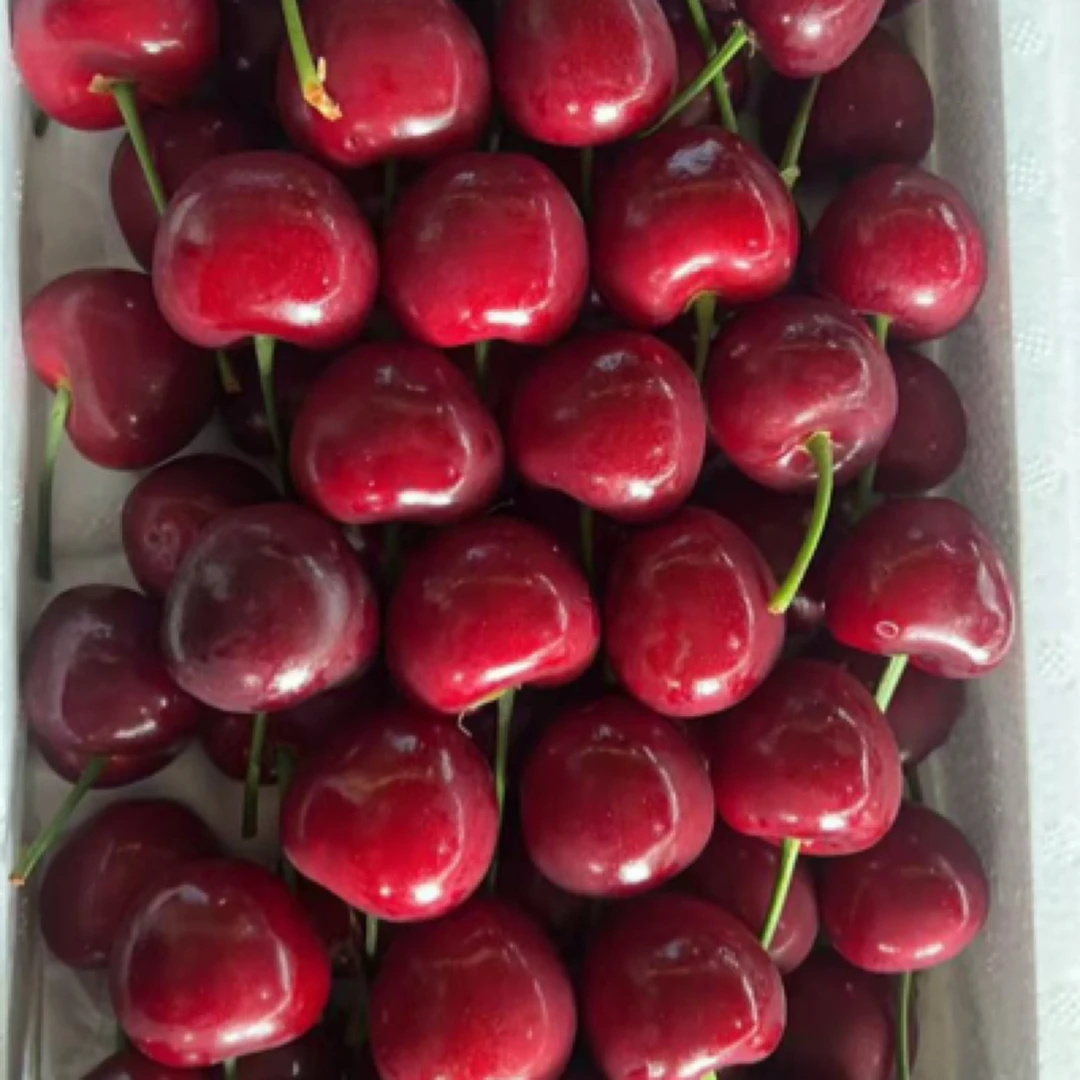 2-3J大连美早樱桃1kg美早樱桃