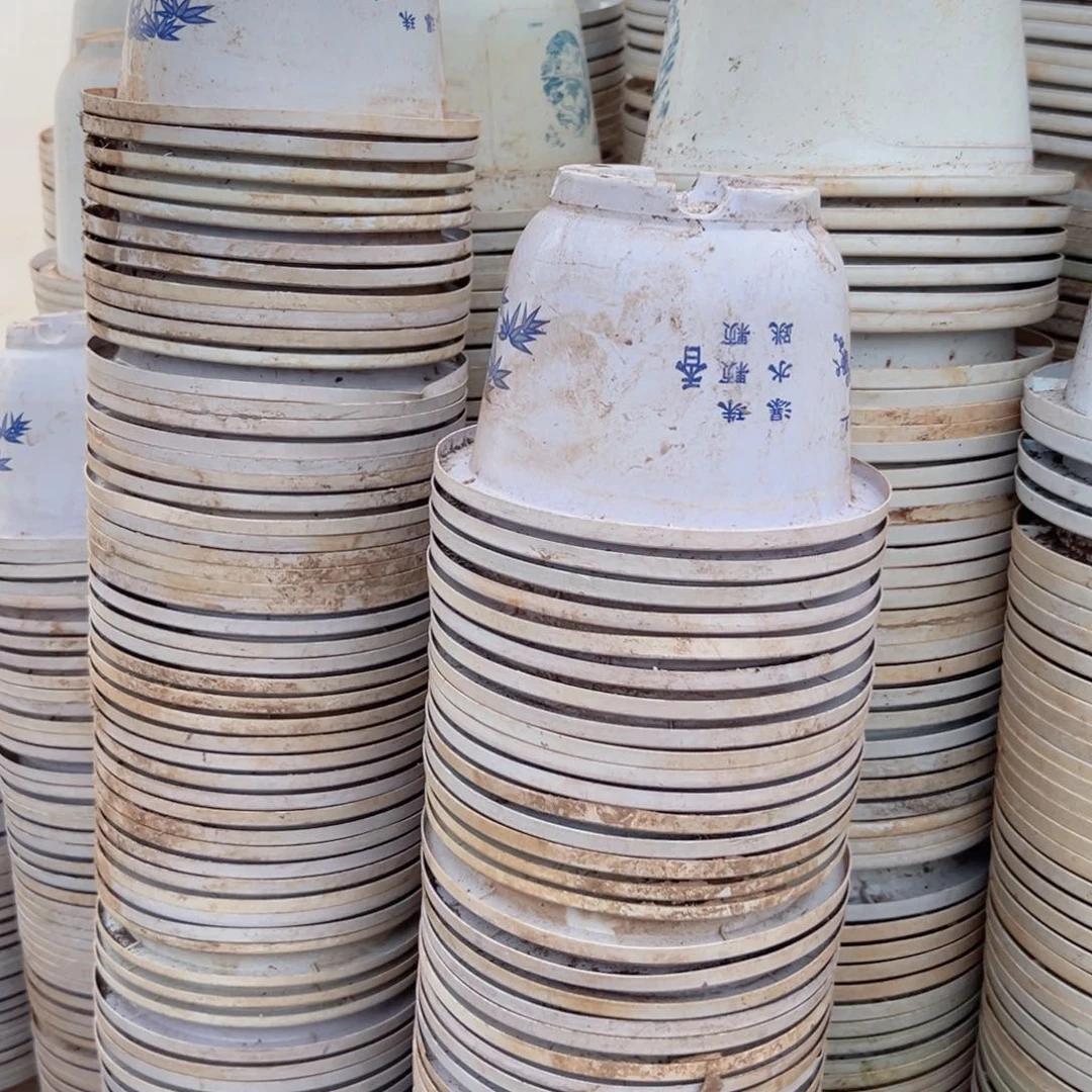 富贵花开盆18.5口径12.5高 20个