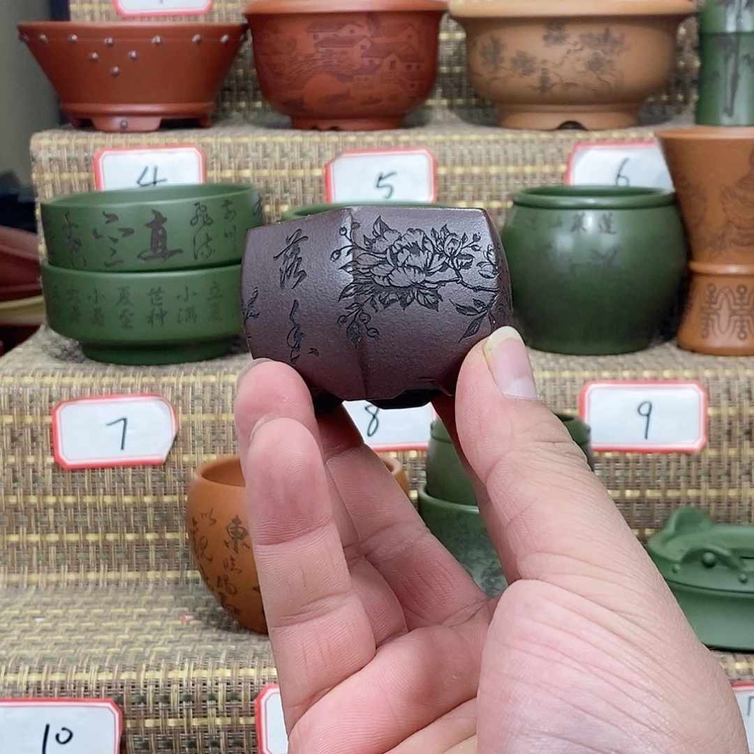 紫砂花盆我在等他