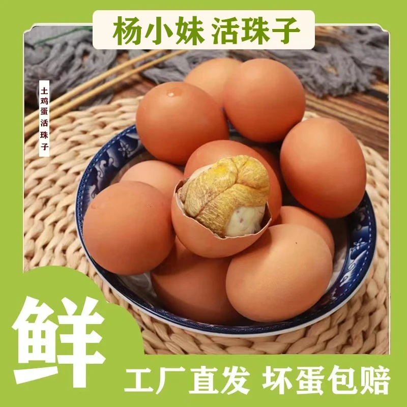 香辣五香13天熟制活珠子10枚/20枚/30枚/40枚