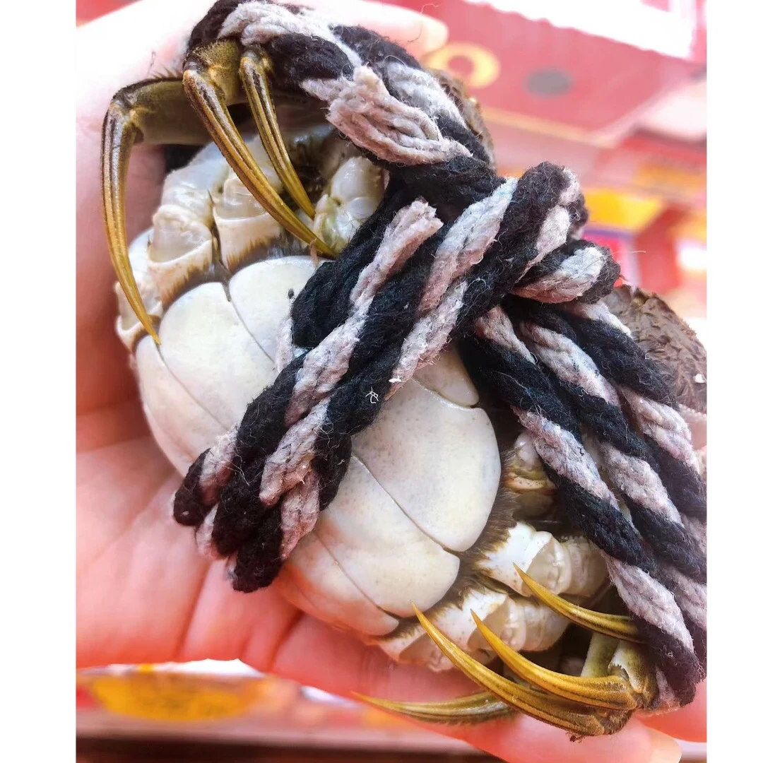 鲜活江苏大闸蟹全母蟹99元10只2.0两规格