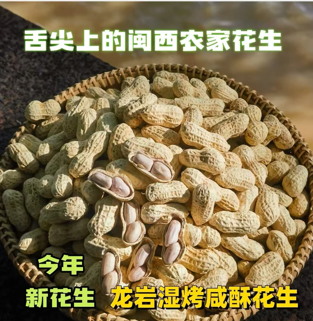 正宗水煮龙岩湿烤花生福建盐水咸酥花生香脆农家零食特产