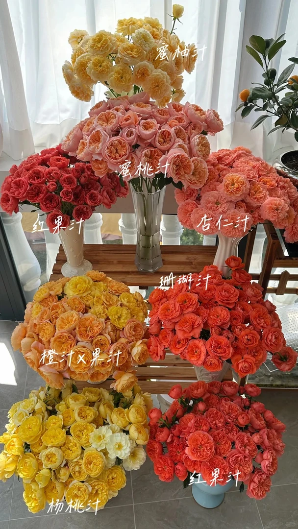 （曼曼）多头果汁系列30支    1单顺丰包邮