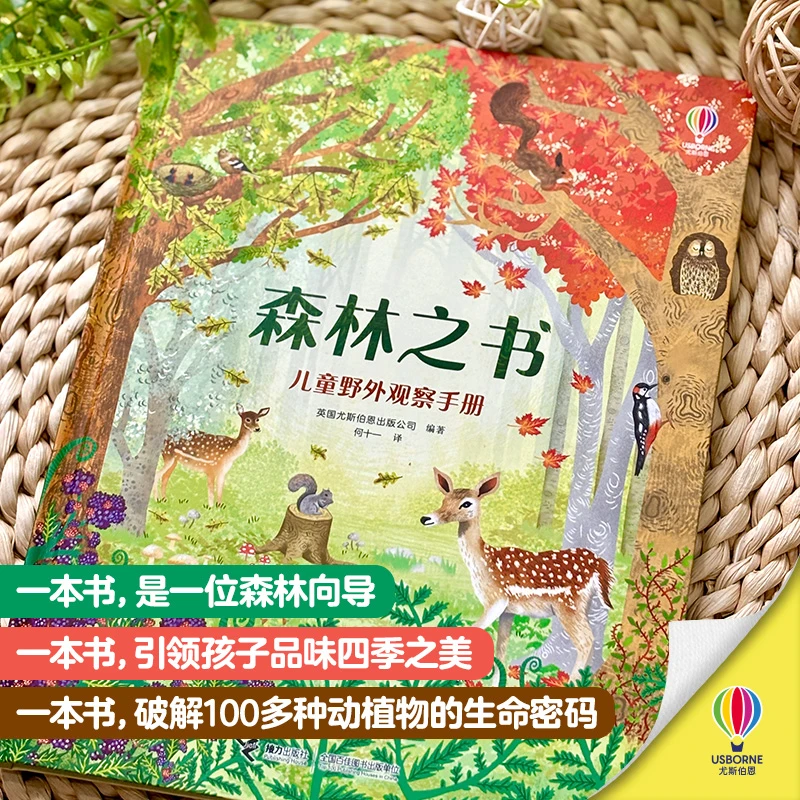 【接力童书】新书上架！尤斯伯恩·森林之书：儿童野外观察手册