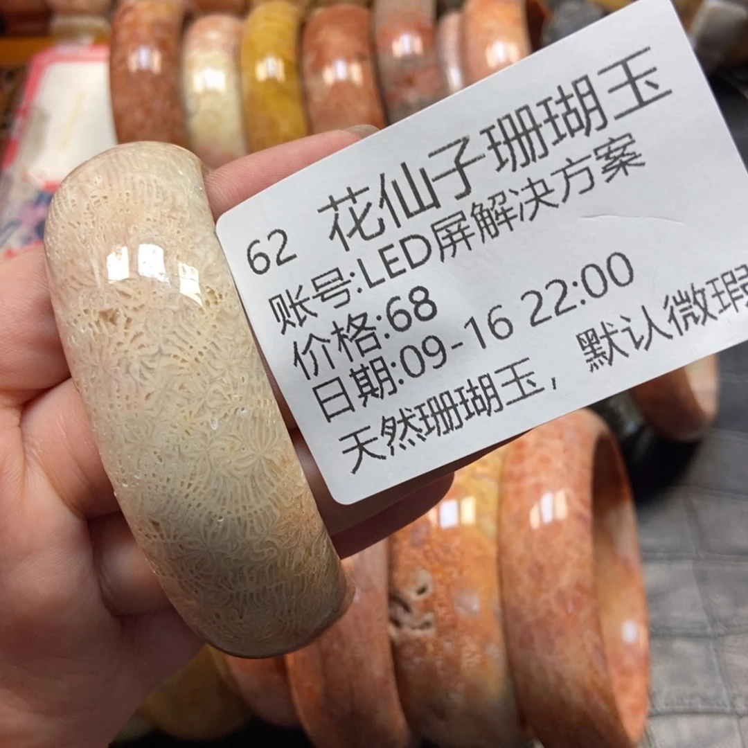 L***案未镶嵌硅化珊瑚（珊瑚玉）珠宝半成品62