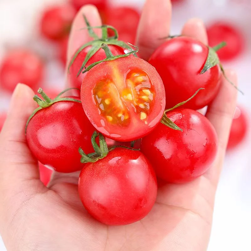 广东电白千禧，海鸭蛋