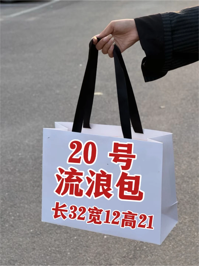 （20）号气质百搭流浪包#