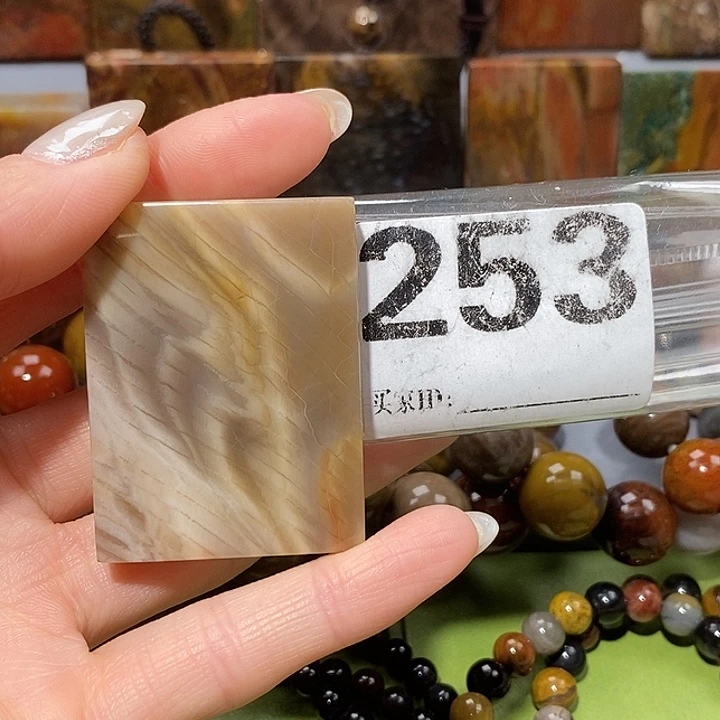 硅化玉未镶嵌天然北票树化玉吊坠