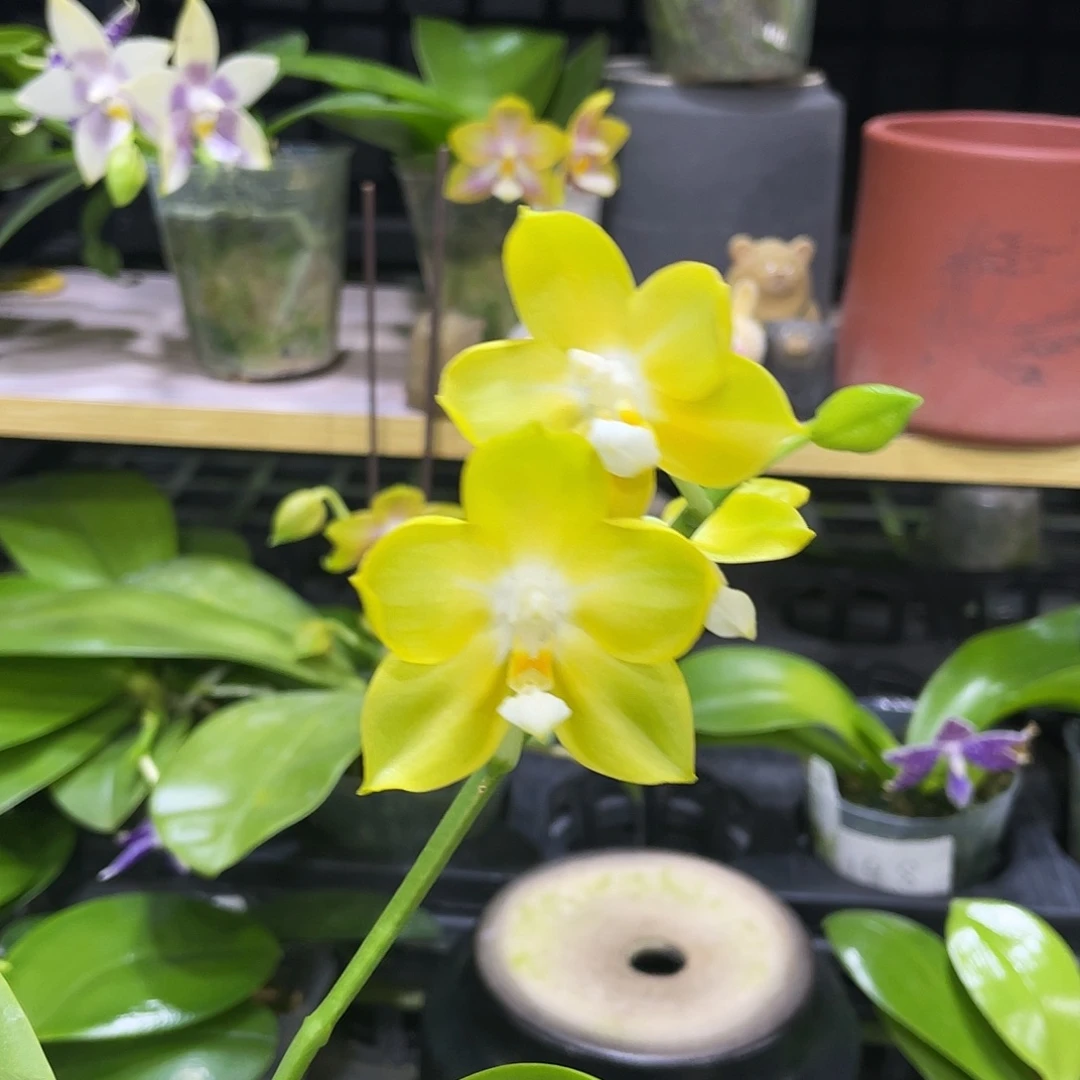 完全开放1111111111