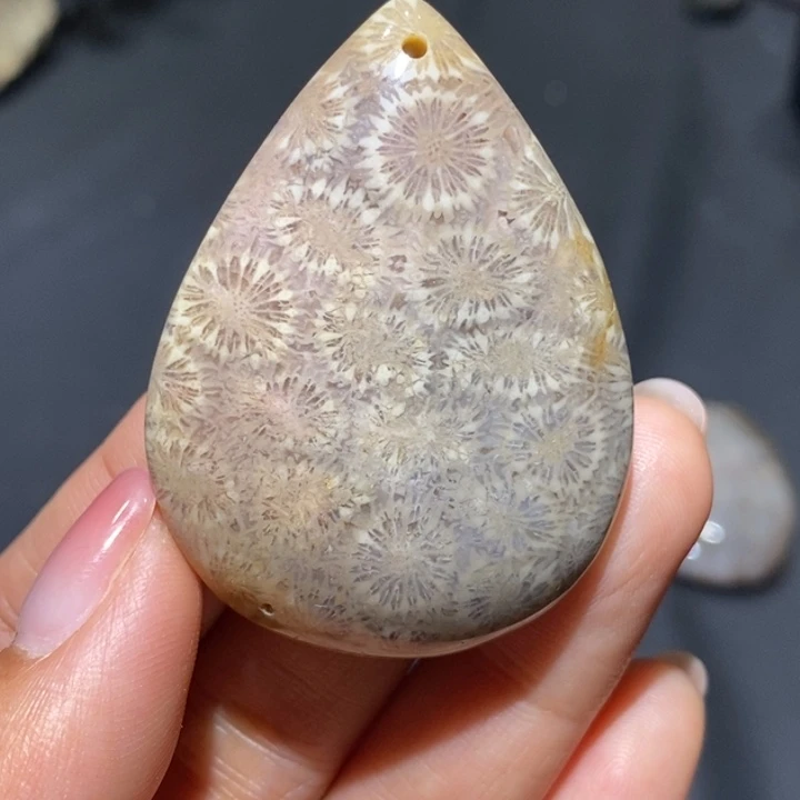 【闪购商品】未镶嵌珊瑚玉硅化玉