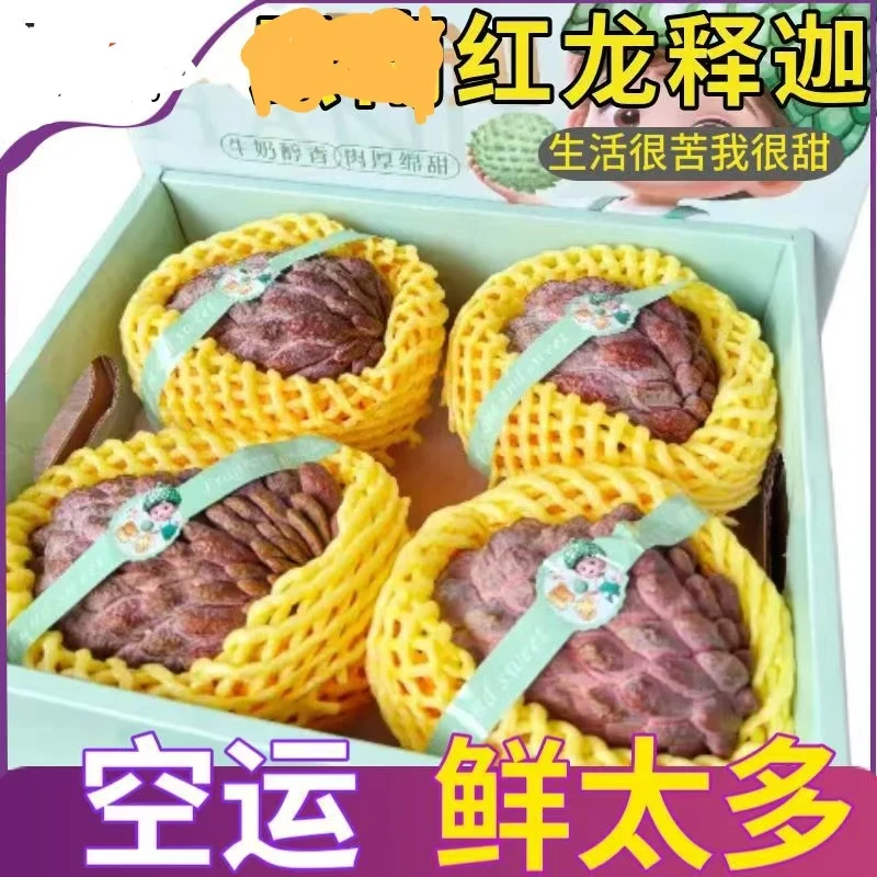 顺丰空运玫瑰红龙释迦果高端现摘玫瑰大果海南红龙释迦番荔枝摩尼