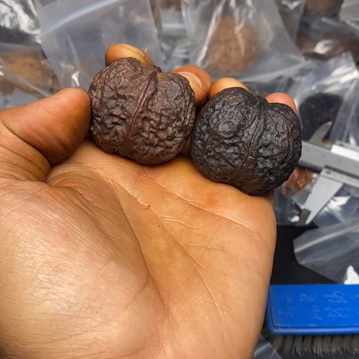 文玩核桃把件正文铁核桃29号