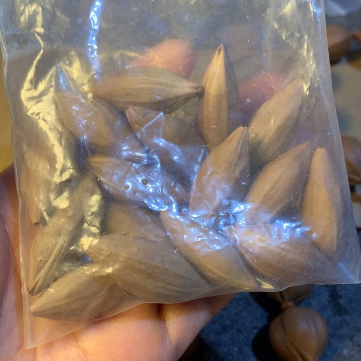 橄榄核手串/手链大**y广东柳叶核14
