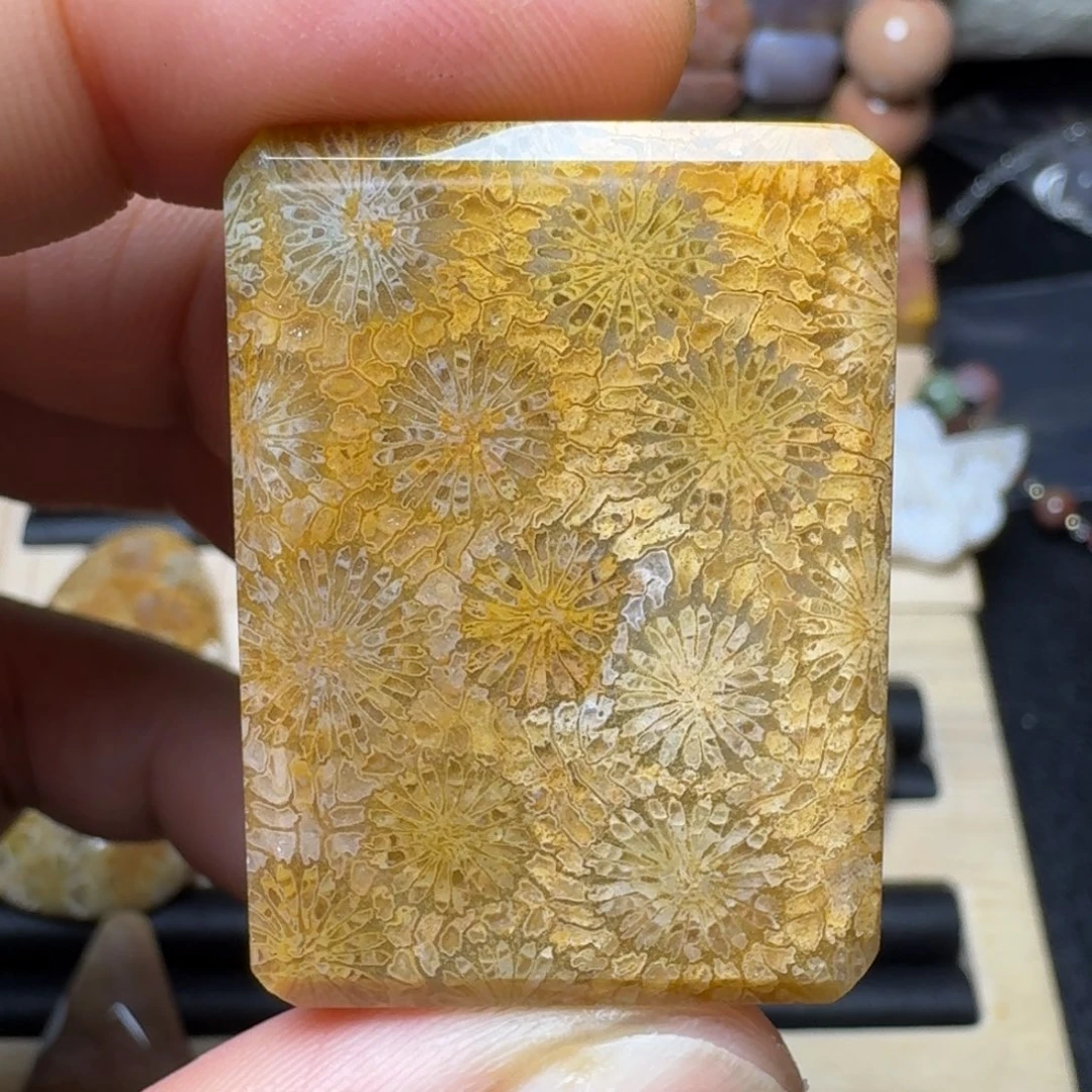 硅化玉未镶嵌纯天然色有机玉石保真色