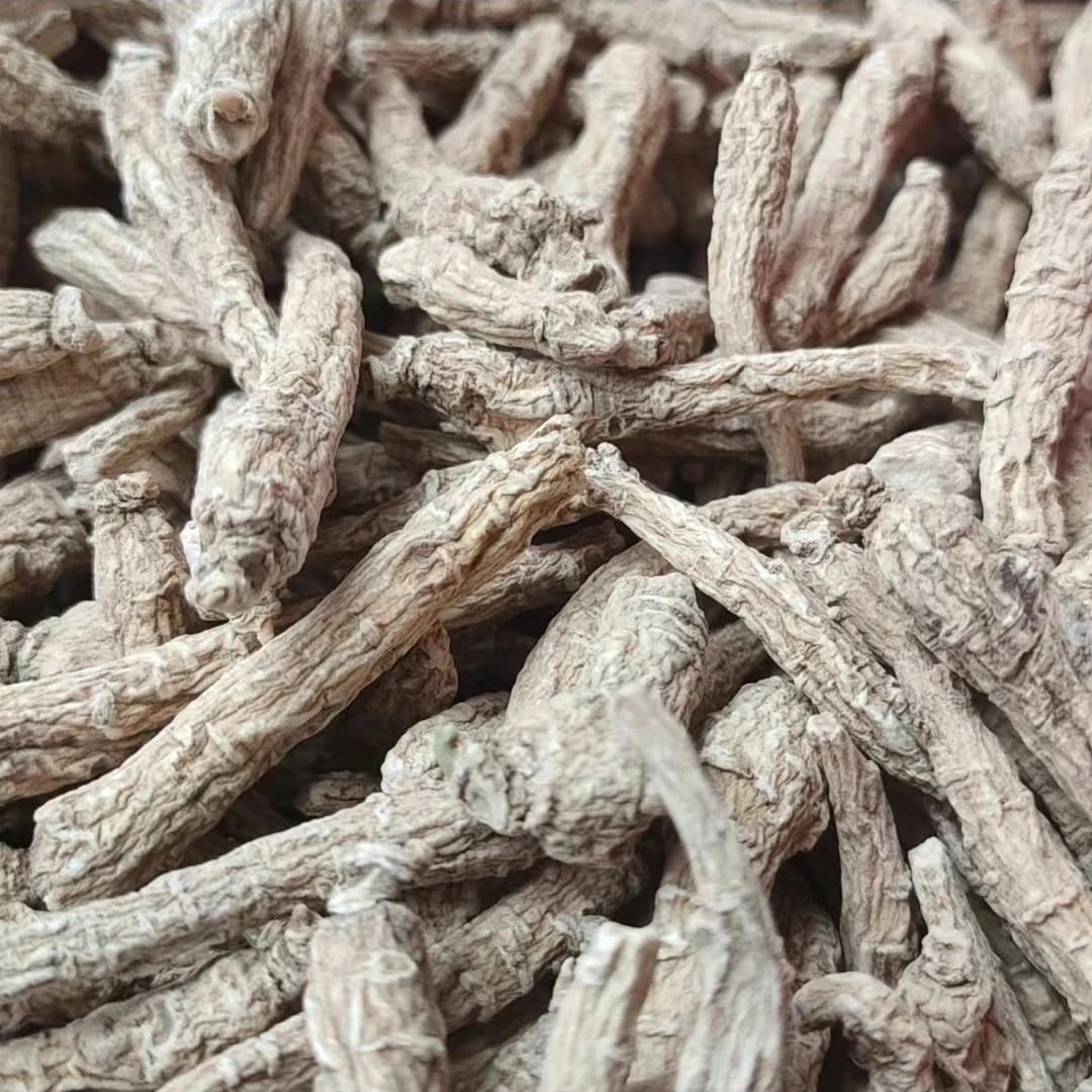 云南高山高海拔西洋参