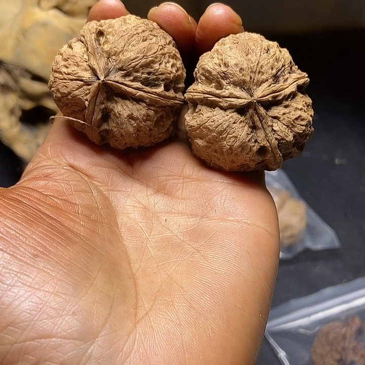 把件文玩核桃云南铁核桃基地99