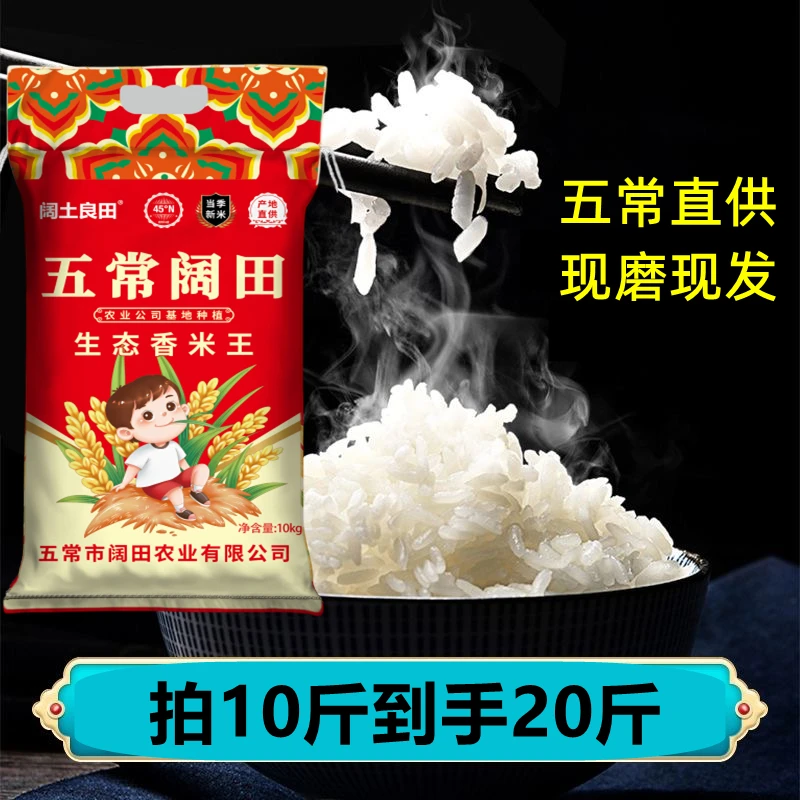 五常阔田农业 生态香米王  现磨新米 东北大米 20斤装