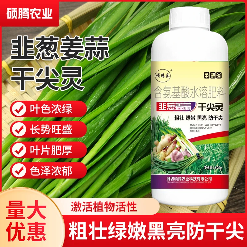 葱姜蒜干尖灵叶片增厚预防干尖