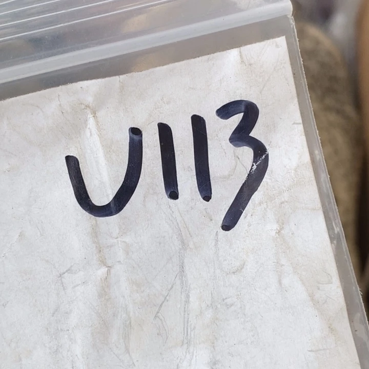 朋***友金属德宝文玩专属链接