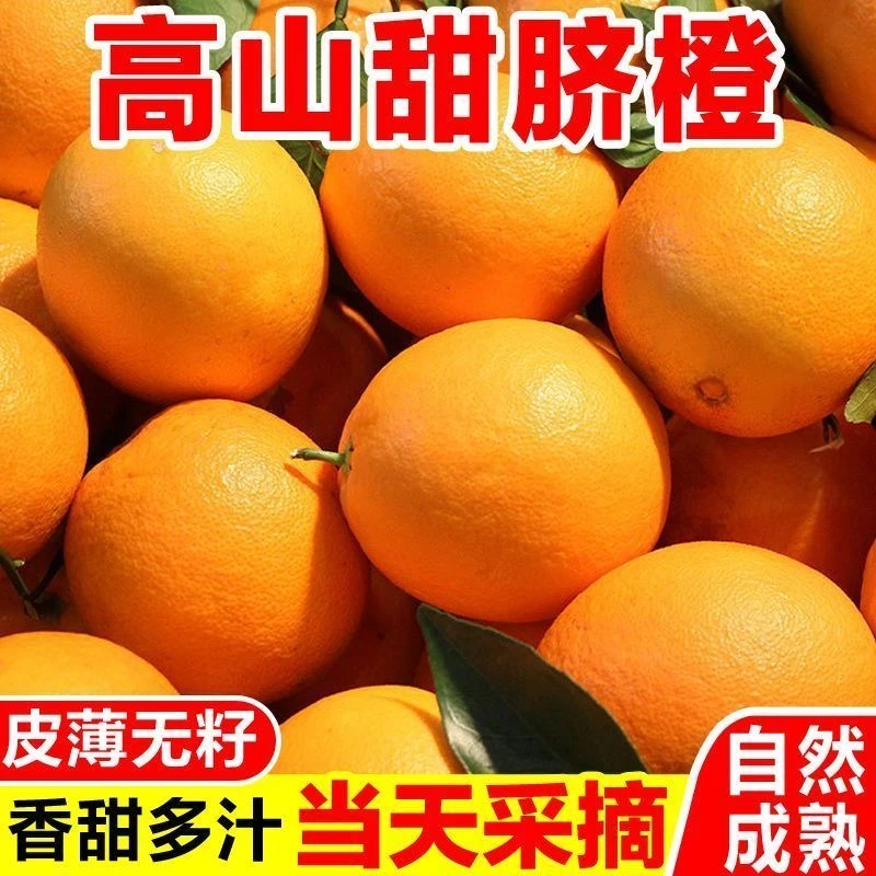 【产地直发】正宗三峡秭归高山脐橙当季新鲜水果自家农场现摘现发